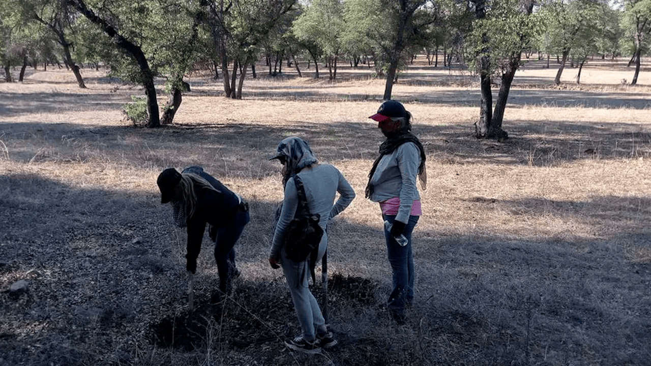 "Gracias al pacto de paz con el crimen organizado, ellos nos dan ubicaciones": Madres Buscadoras