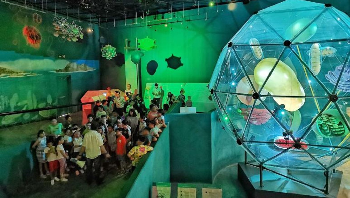 Parques de Tamaulipas