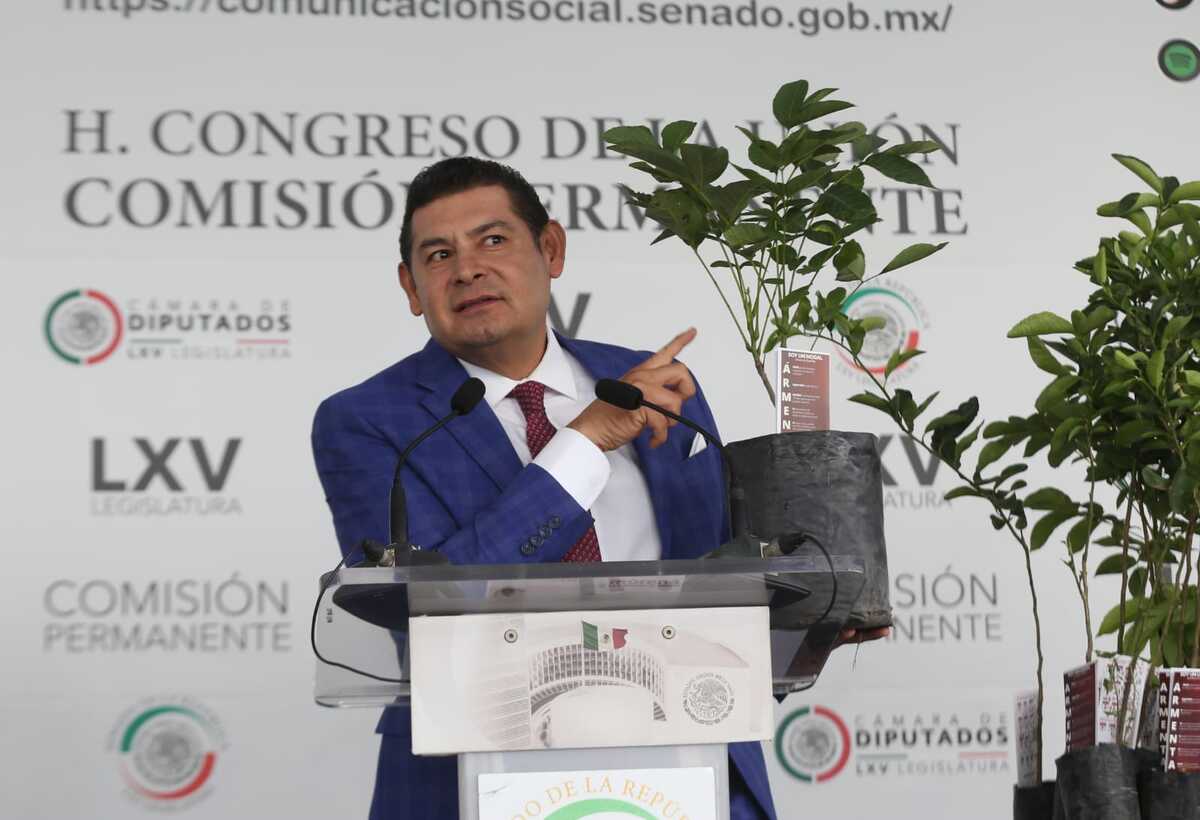 Alejandro Armenta Mier, Presidente de la Cámara de Senadores de México. | Araceli López