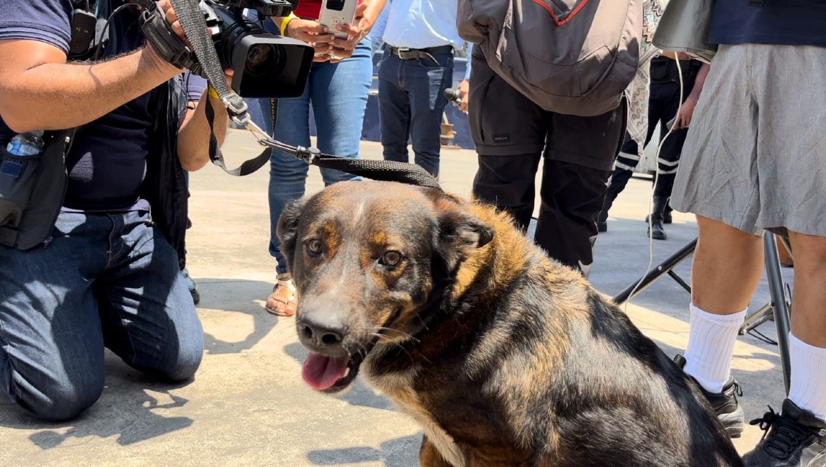 'Bella' es adoptada por un pescador del María Delia. | Arnoldo Delgadillo