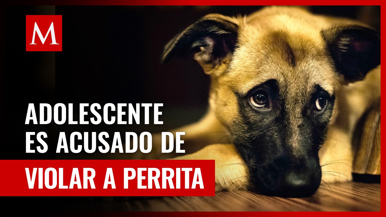 Conmoción en Puebla: presunta violación animal desata furia en redes sociales