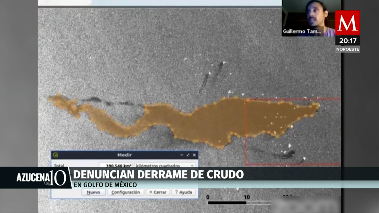 Derrame de hidrocarburos en el Golfo de México: La sociedad civil exige respuestas