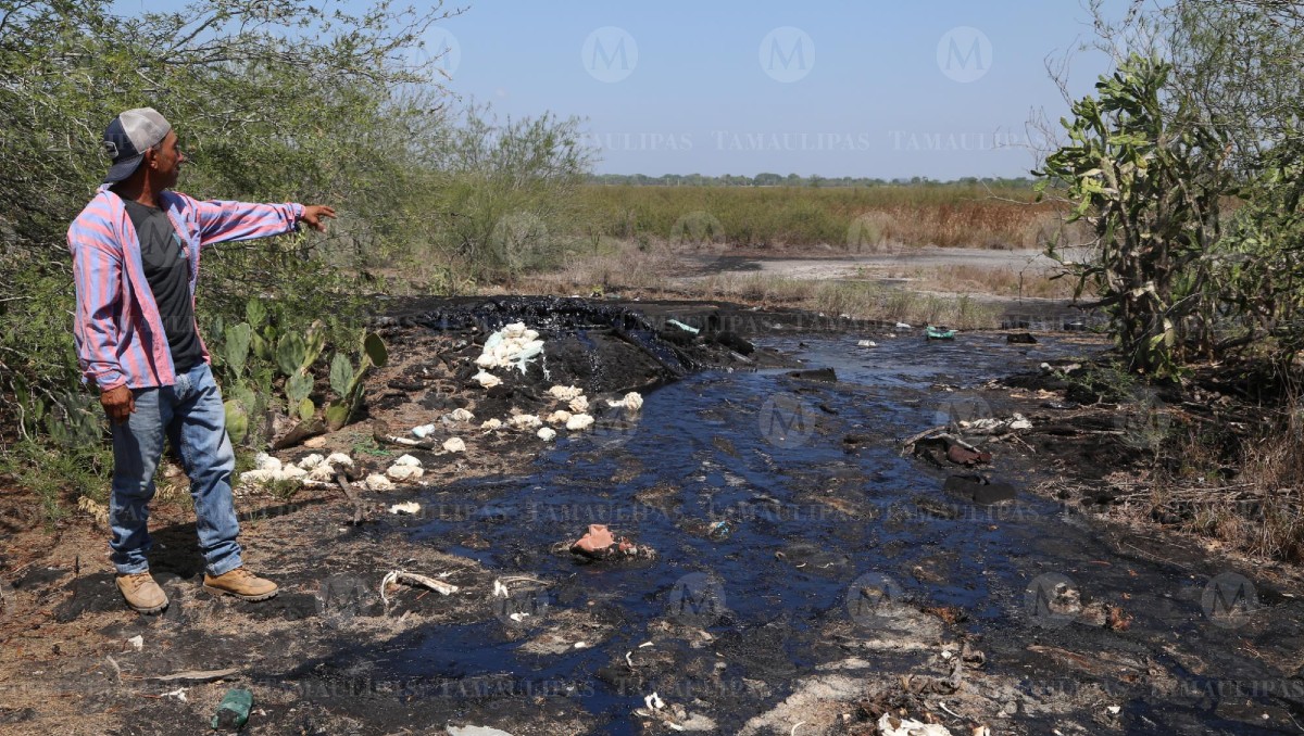 Emanaciones de petróleo afecta terrenos de habitantes. (Yazmín Sánchez)