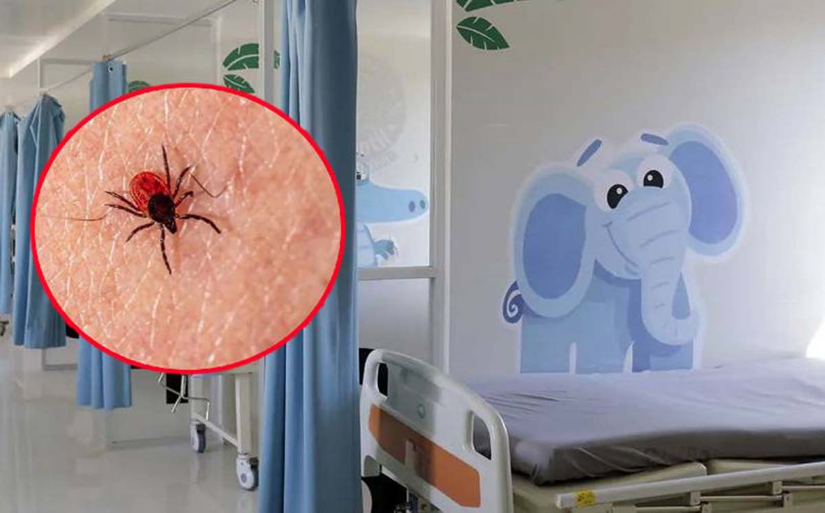 Muere niña por rickettsia en Torreón. (Especial)