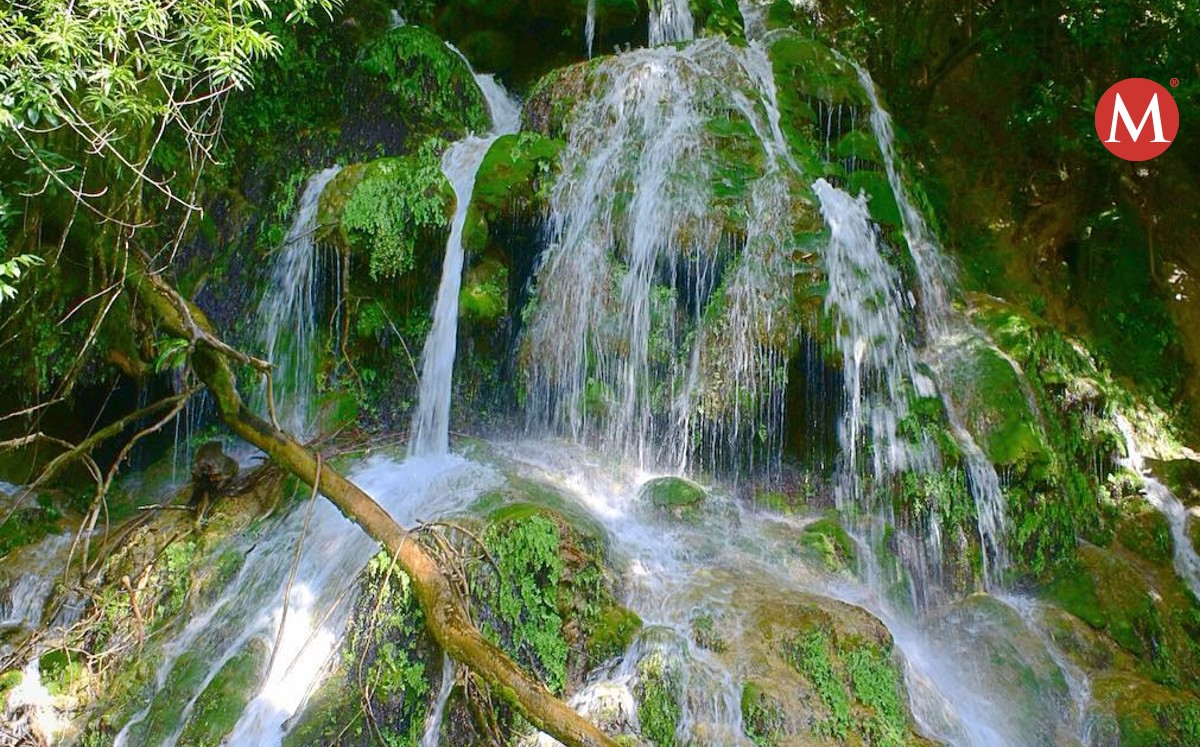 Cascadas Joya de Manantiales en Gómez Farías. Foto: Turismo Tamaulipas