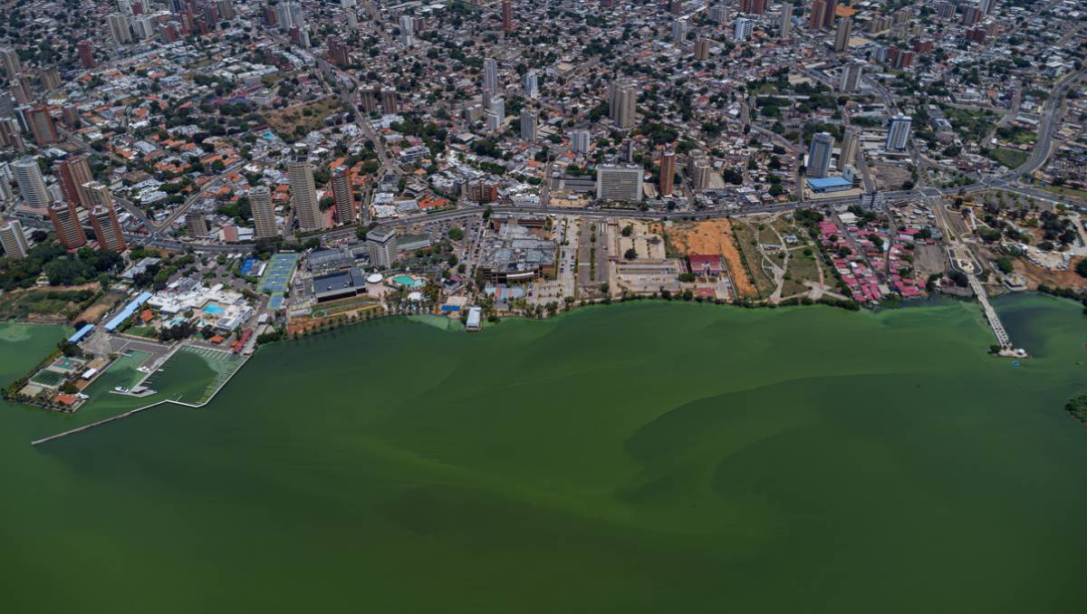 El lago Maracaibo en Venezuela se volvió verde. (EFE).
