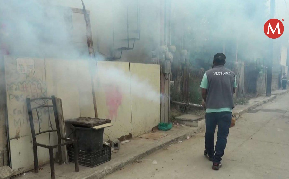 Fumigación por casos de dengue en sur de Tamaulipas.