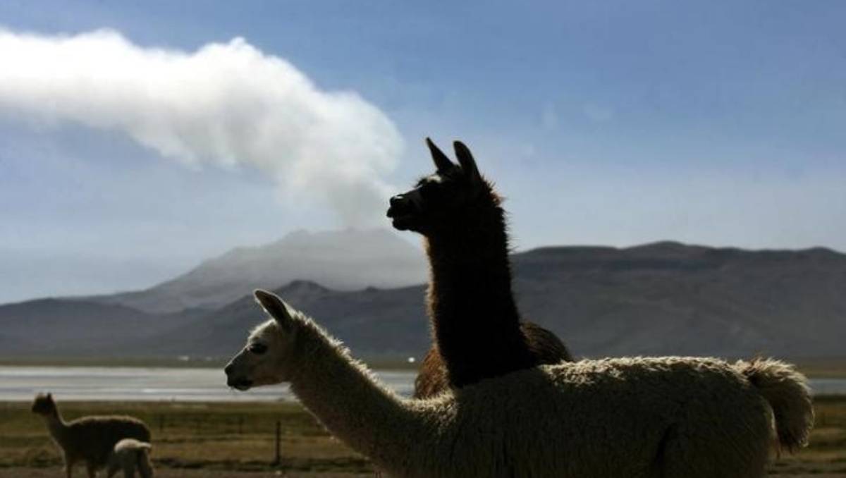 Perú declaró estado de emergencia por la actividad de Ubinas. (Reuters).