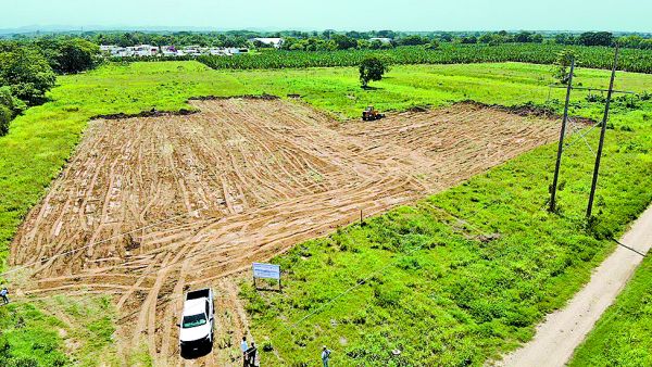La Sedena comenzó la limpieza del terreno para el conjunto de IMSS-Bienestar que atenderá a toda la región de la Cuenca del Papaloapan. Especial