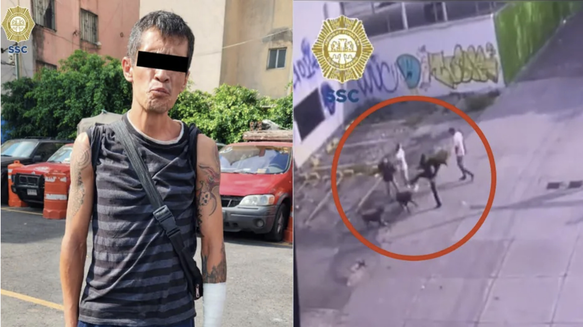 Agresor que mató a perrito en CdMx ya fue detenido