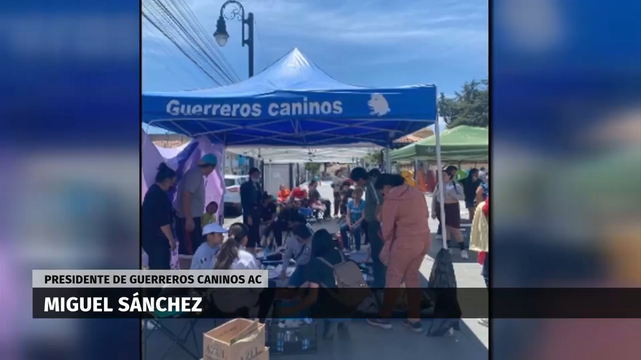 Guerreros caninos' brinda oportunidad de vida a perros y gatos | Solo por ayudar