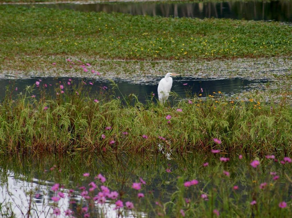 Áreas naturales protegidas: hay 90 en territorio mexiquense