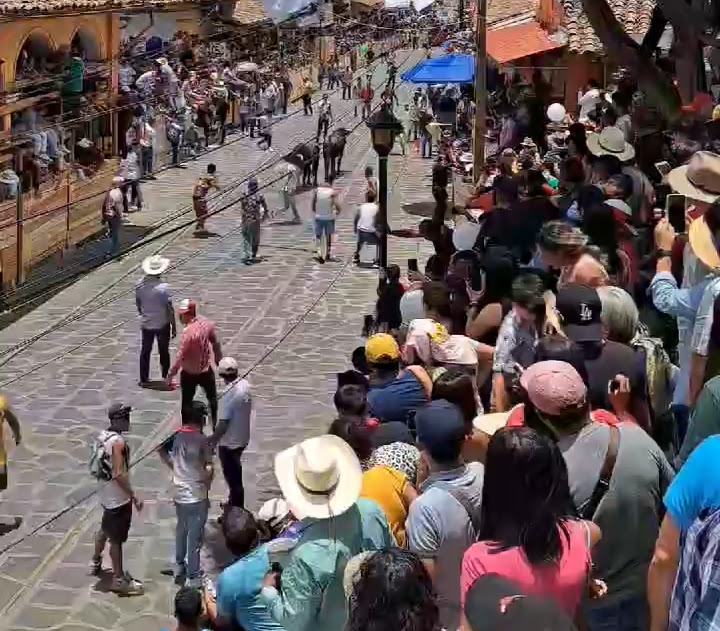 La suelta de toros en Xico, deja 9 heridos