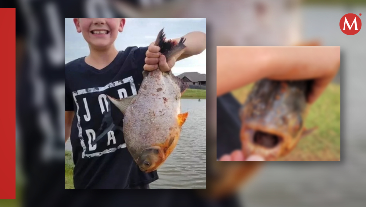 Niño caza un pez con dientes humanos | FOTO