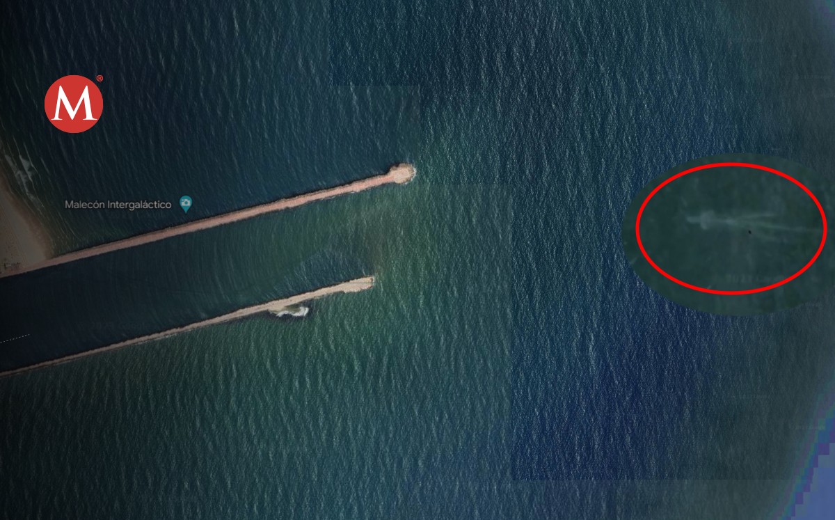 Captan presunto monstruo marino en playa Miramar