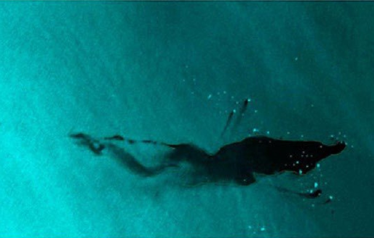 Derrame de hidrocarburos en el Golfo de México (Instituto de Geografía de la UNAM)