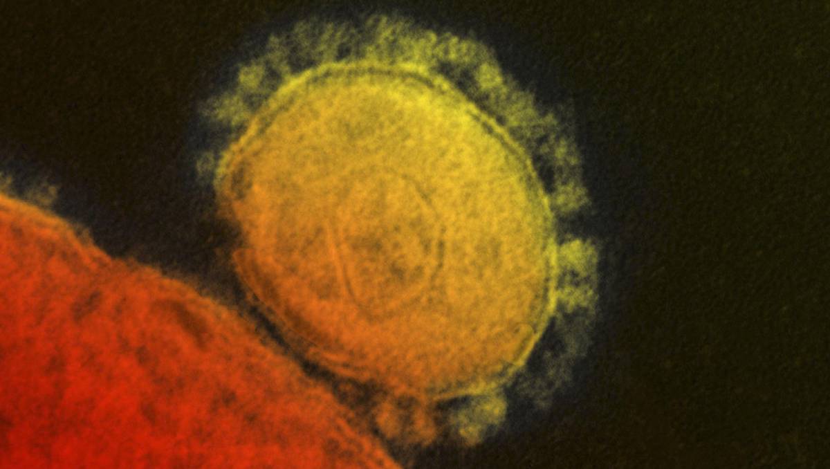 El MERS es una variante del coronavirus. (Reuters).