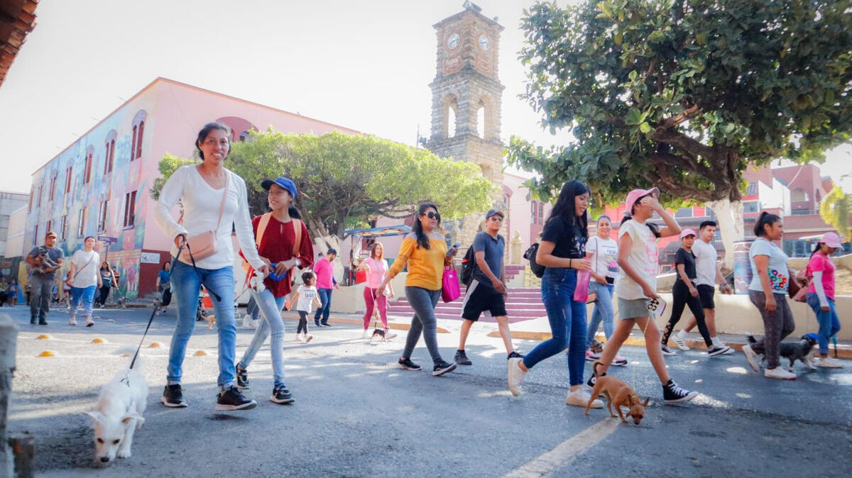 Se obtuvieron 273 kilogramos de croquetas que fueron donados por los participantes  de la Caminata Canina con Causa “Huellitas de Corazón”  (Cortesía)