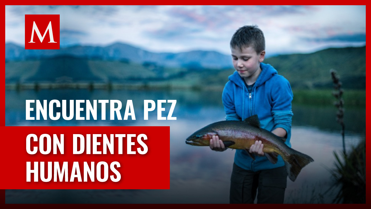 Pez misterioso es capturado en Estados Unidos