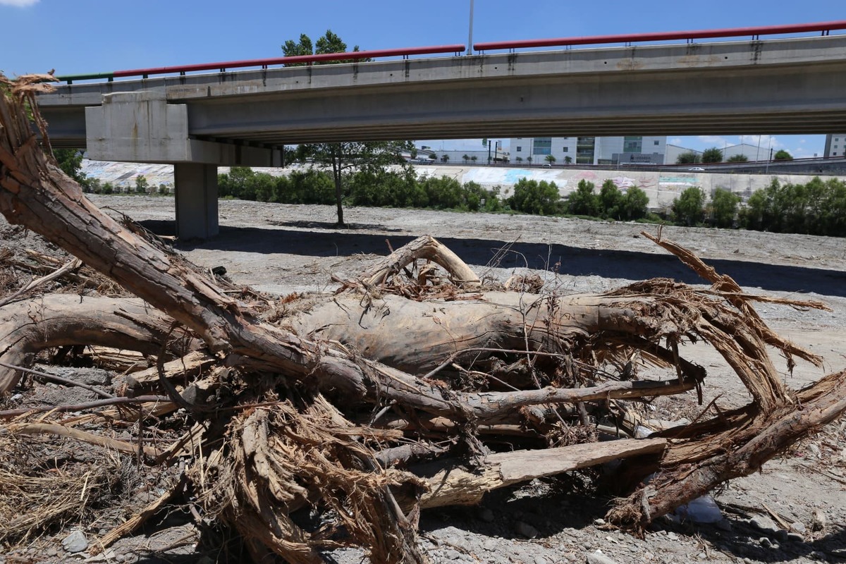 En algunos sectores ya se pueden ver grandes pilas de árboles secos en la zona del cauce. RAÚL PALACIOS