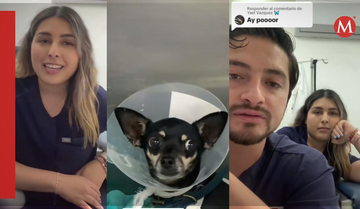Aletzia Viveros / TikTok