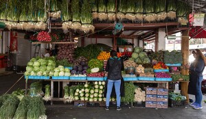 Los cronistas visuales realizaron pinturas, bodegones y retratos que se presentarán próximamente en MILENIO