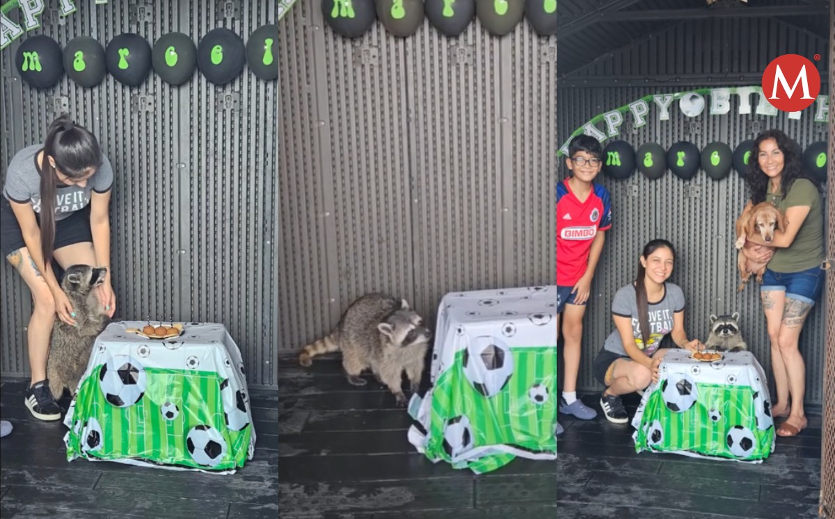 Mapache influencer de Tampico, celebra cumpleaños