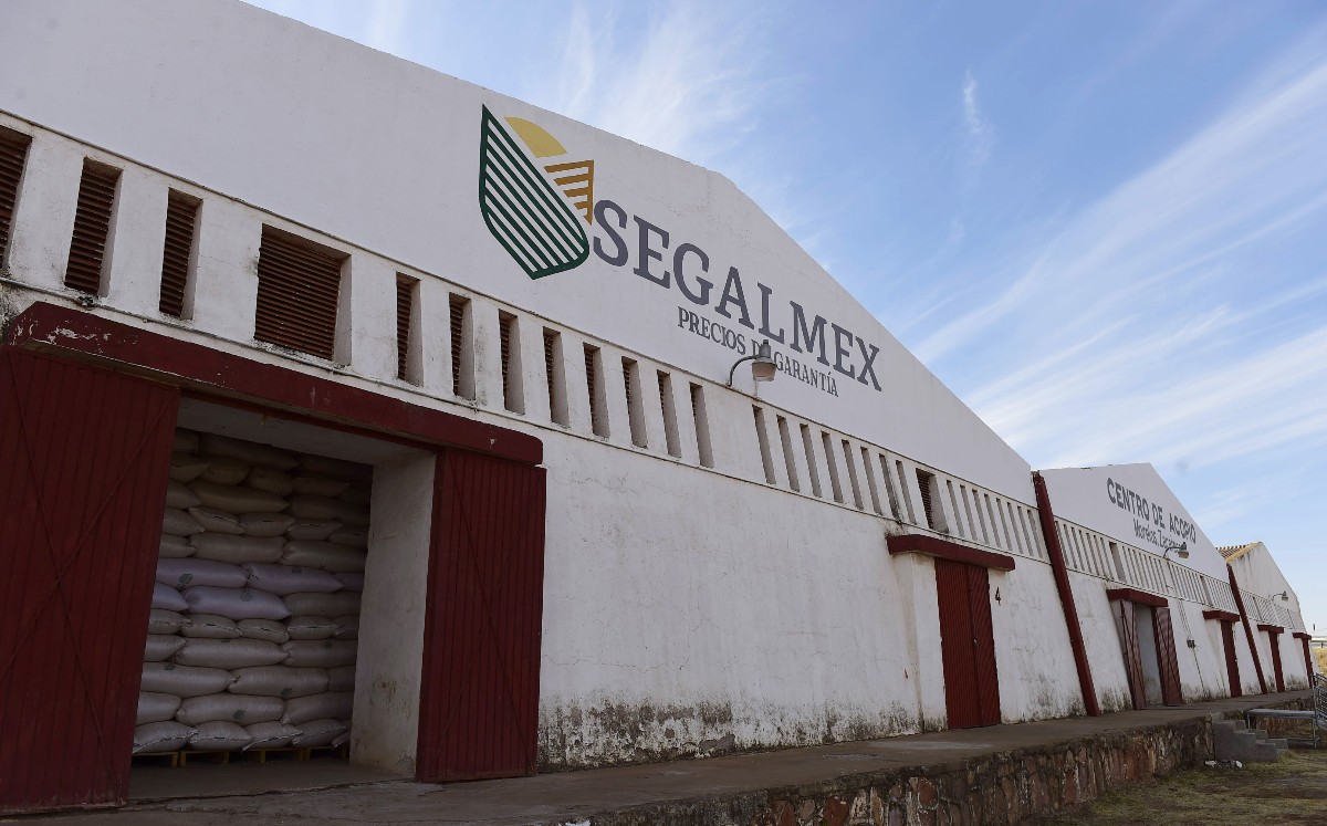 Segalmex cancela licitación de seguros de vida a funcionarios "para evitar daño patrimonial". | Cuartoscuro