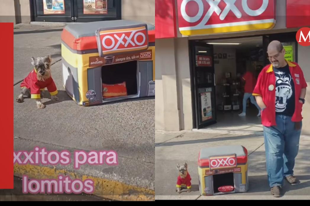 Oxxitos para perritos