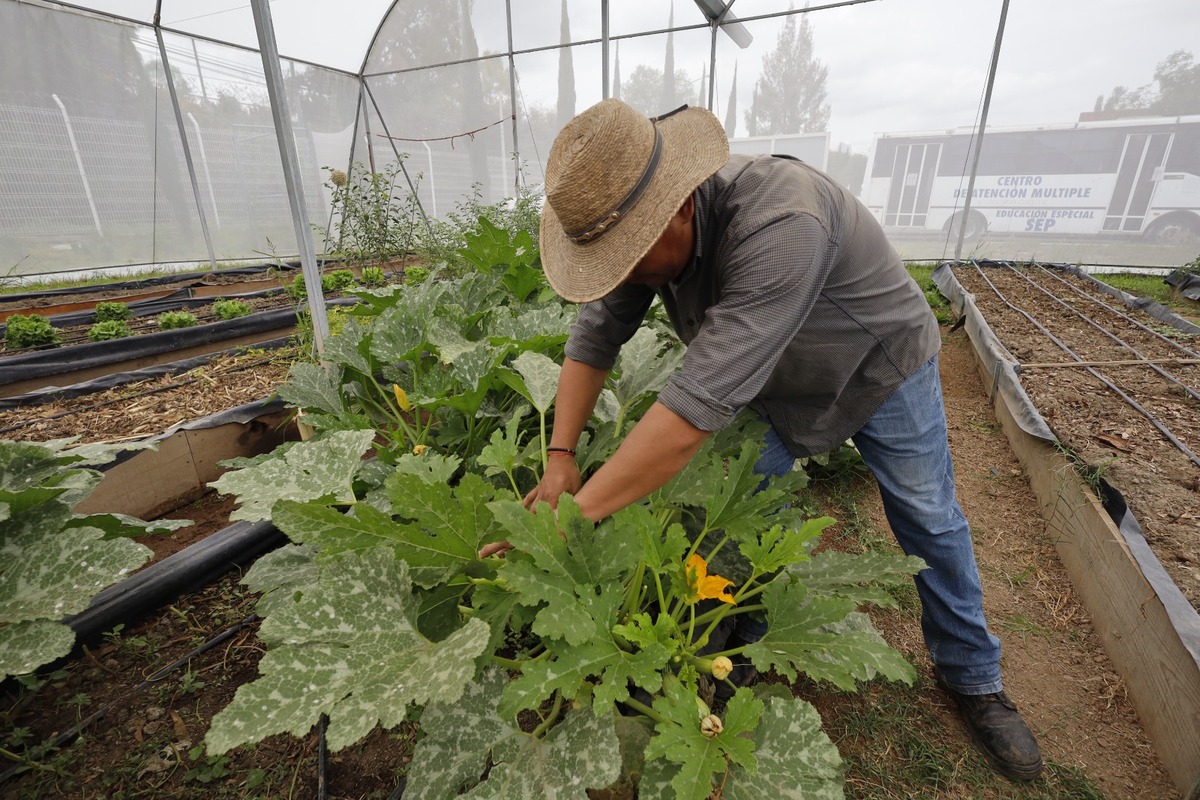 Curso de verano “Agroecología” | Andrés Lobato