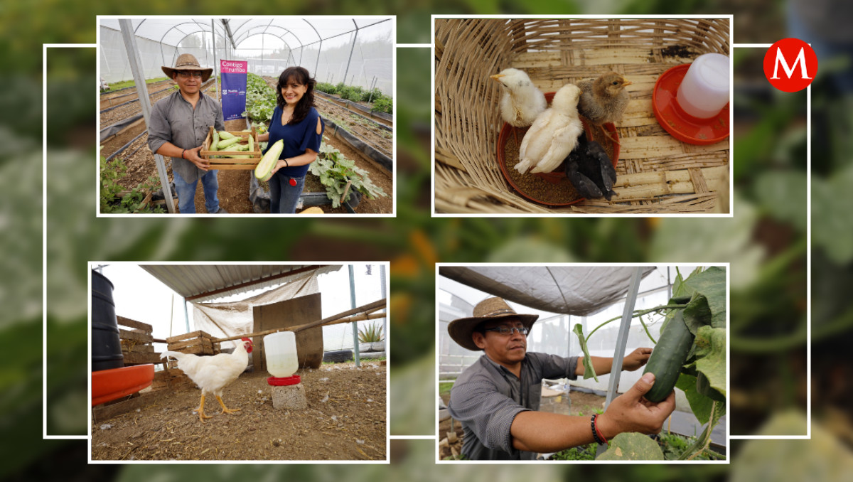 Curso de verano “Agroecología” | Andrés Lobato