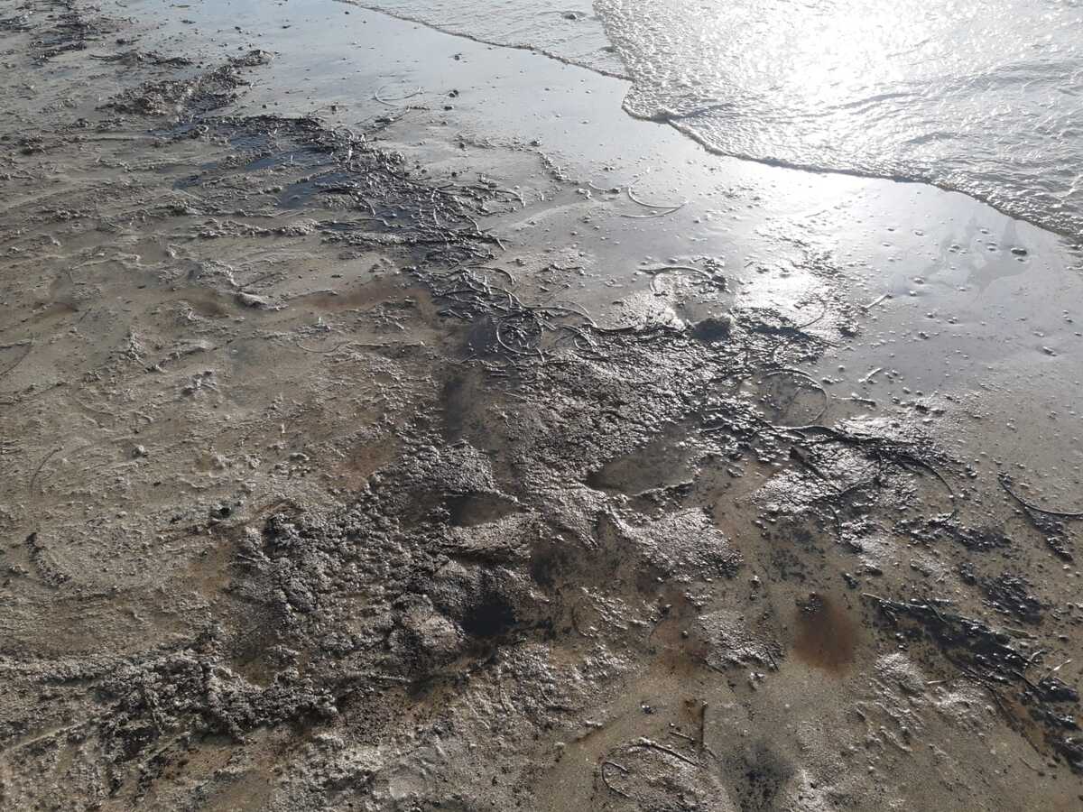 Derrame de combustible en Campeche.