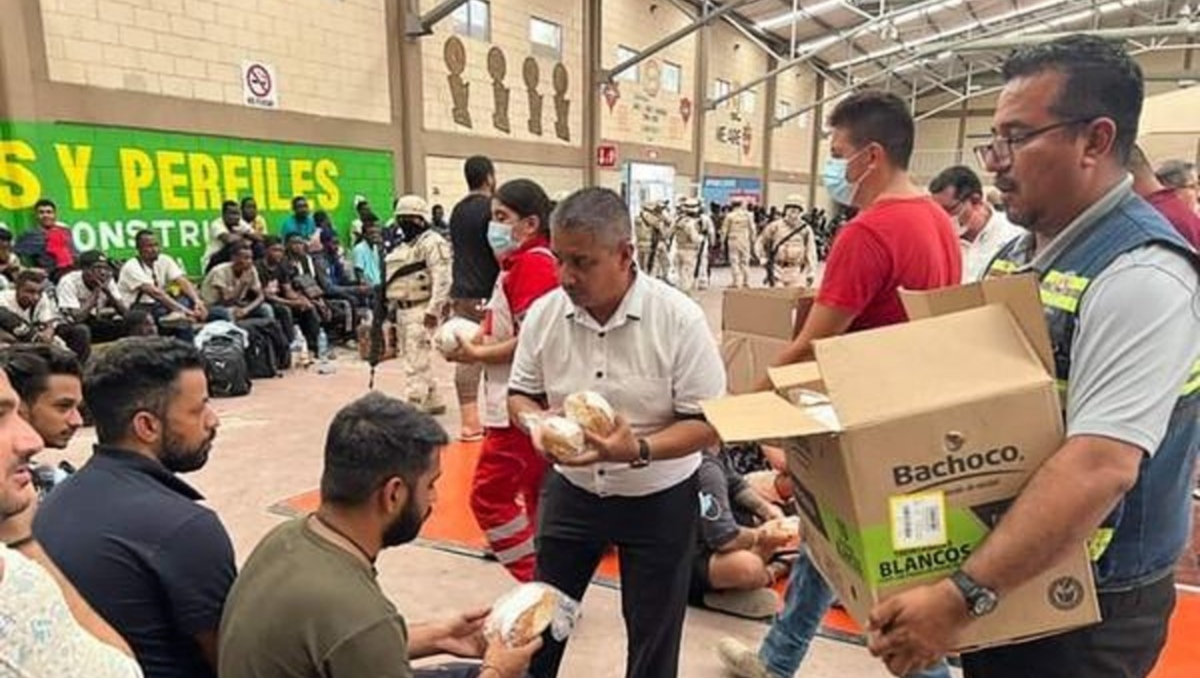 Los migrantes fueron localizados por elementos de seguridad federal. | Especial