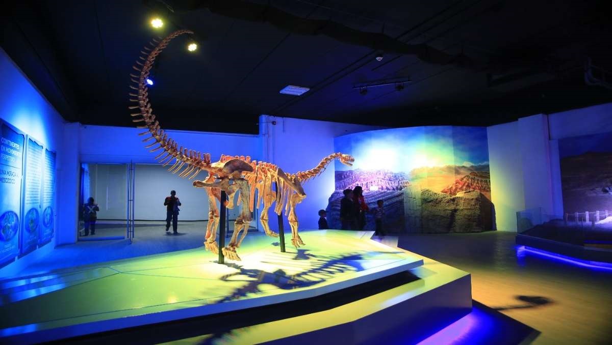 Museos de Puebla | Andrés Lobato