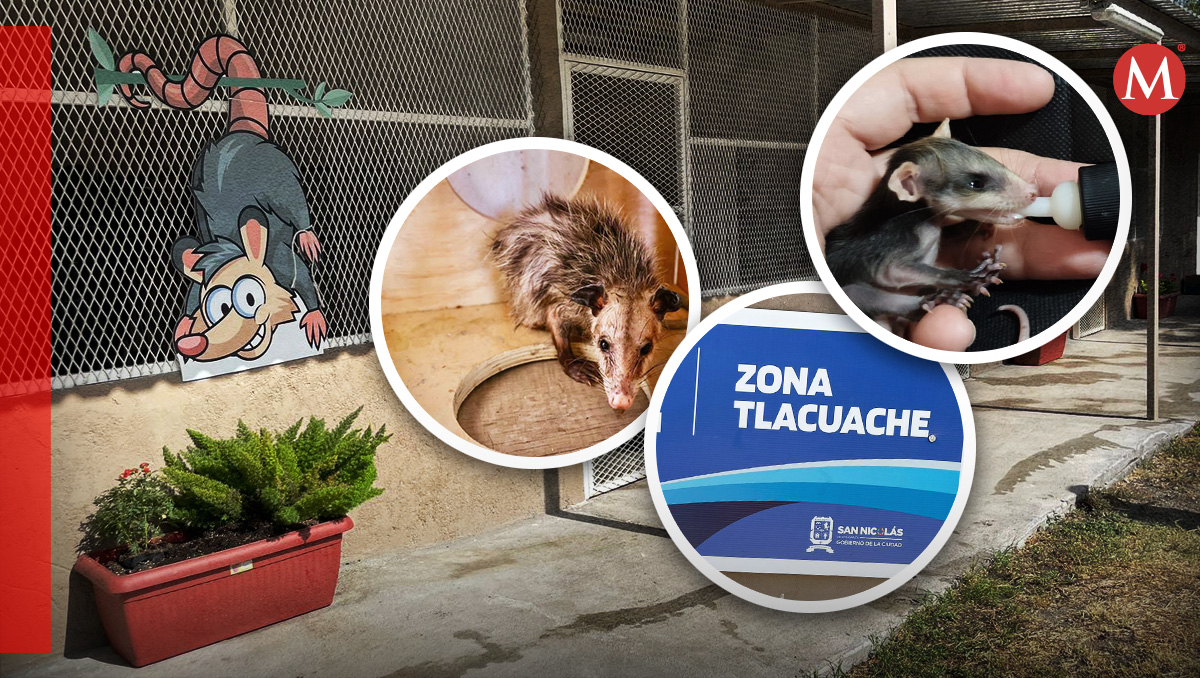 Zona de protección para tlacuaches en San Nicolás. Foto: Especial