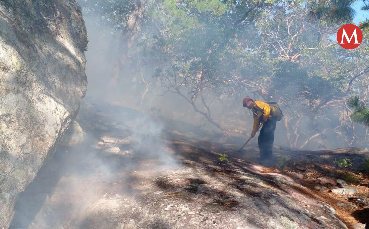 Extinguen incendio forestal en San Carlos, Tamaulipas