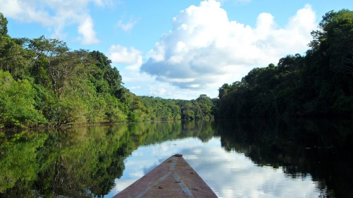 Amazonia peruana. (Especial)