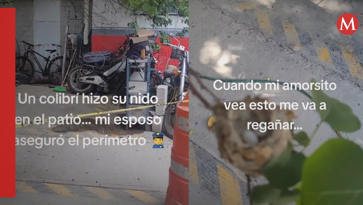 Hombre cerca su jardín | Captura