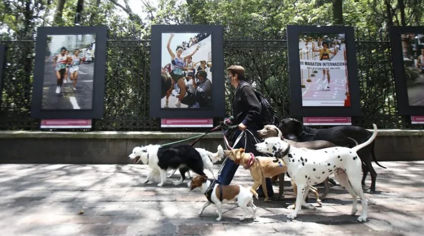 Se inauguró exposición fotográfica del Maratón de la Ciudad de México