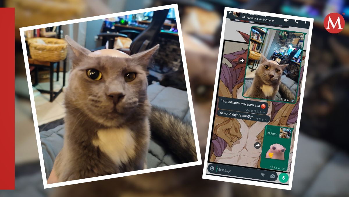 Las mascotas suelen dar momentos de alegría que en algunos casos se vuelven épicos. (Facebook)