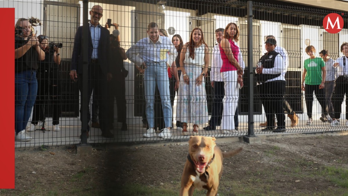 Centro de Bienestar Animal. Foto: Roberto Alanís