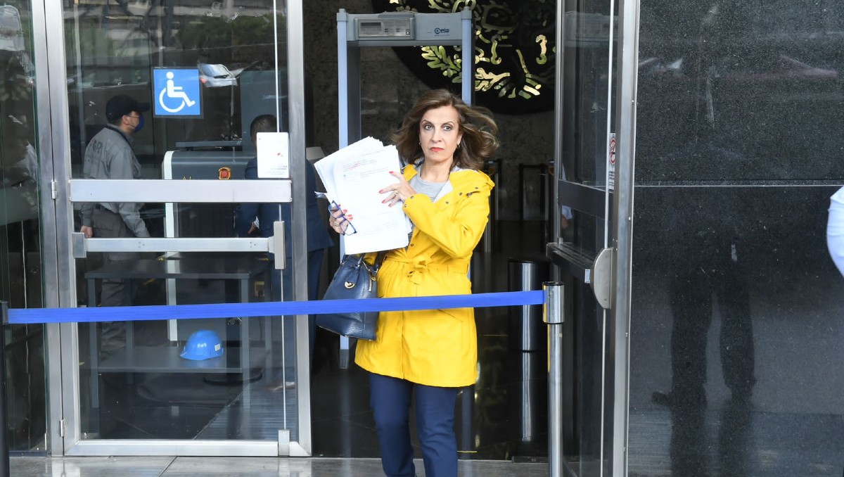 María Elena Pérez-Jaén, diputada federal del PAN. | Especial