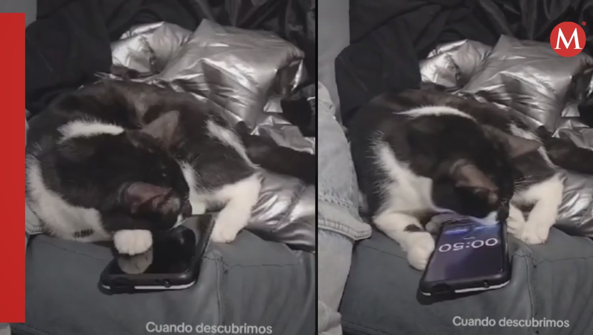 No suena su alarma
