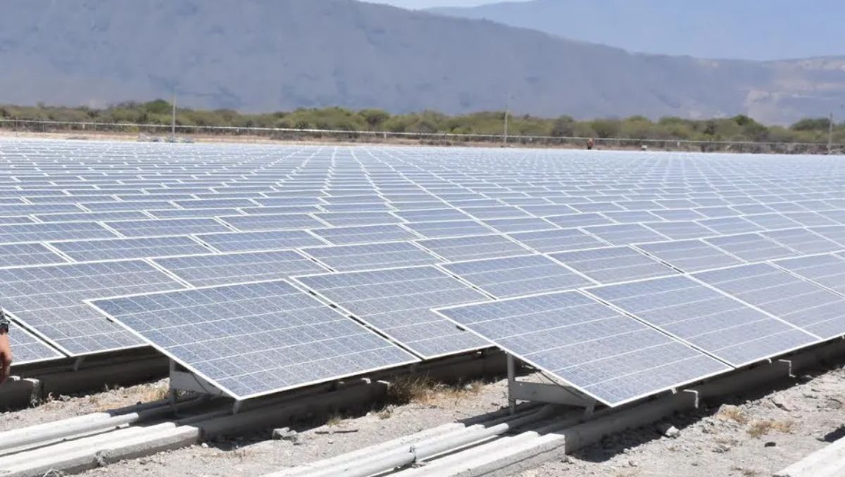 Paneles solares. Archivo
