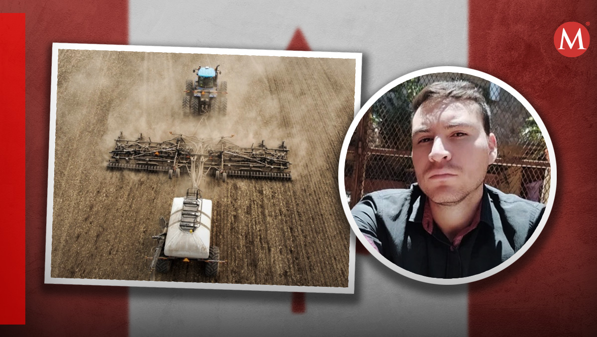 Recientemente, el gobierno federal instó al primer ministro Justin Trudeau a intensificar la búsqueda (Ilustración: Oscar Avila)