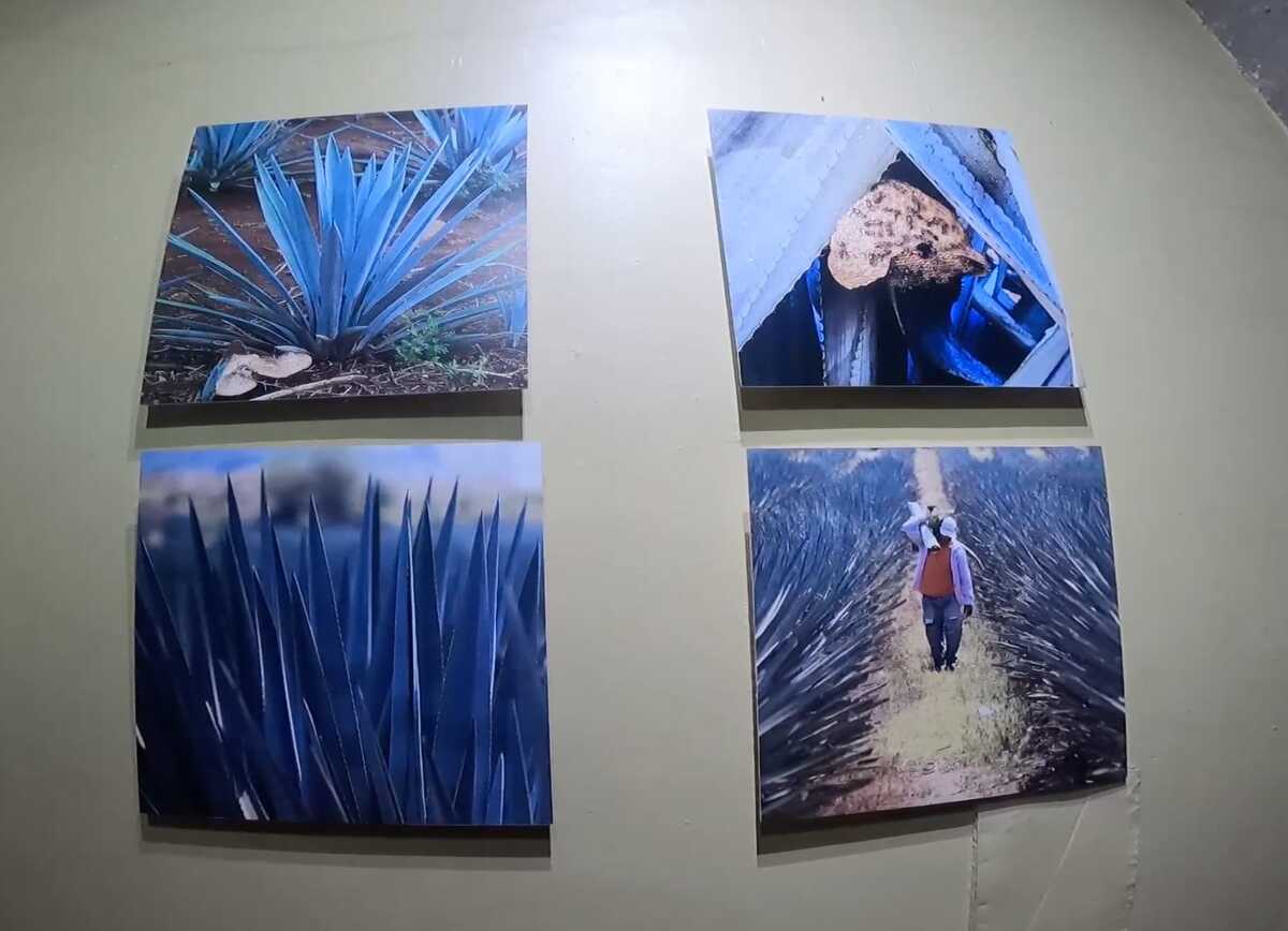 Algunas piezas de la Exposición (Enrique Vázquez)