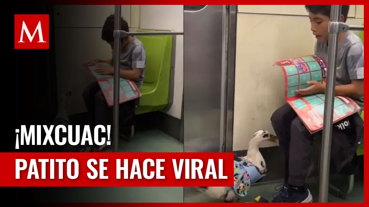 Captan a un Pato viajando en el metro de la Ciudad de México: "Iba a Mixcuac"