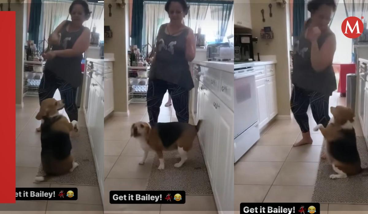 Perrito bailarín/ TikTok