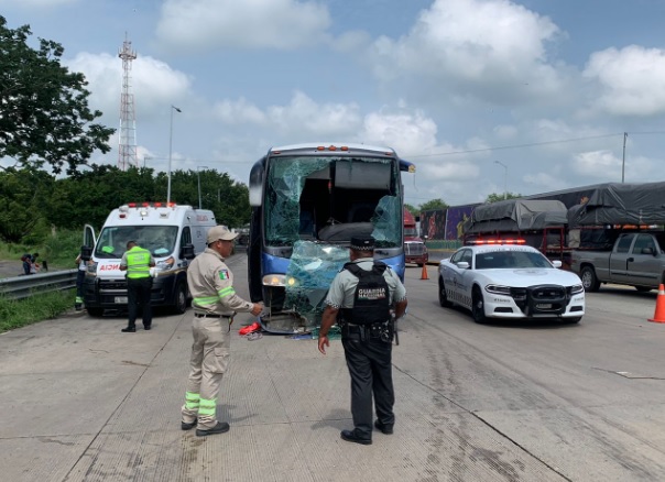 En Veracruz, choque de autobús y tráiler deja 15 lesionados- Grupo Milenio