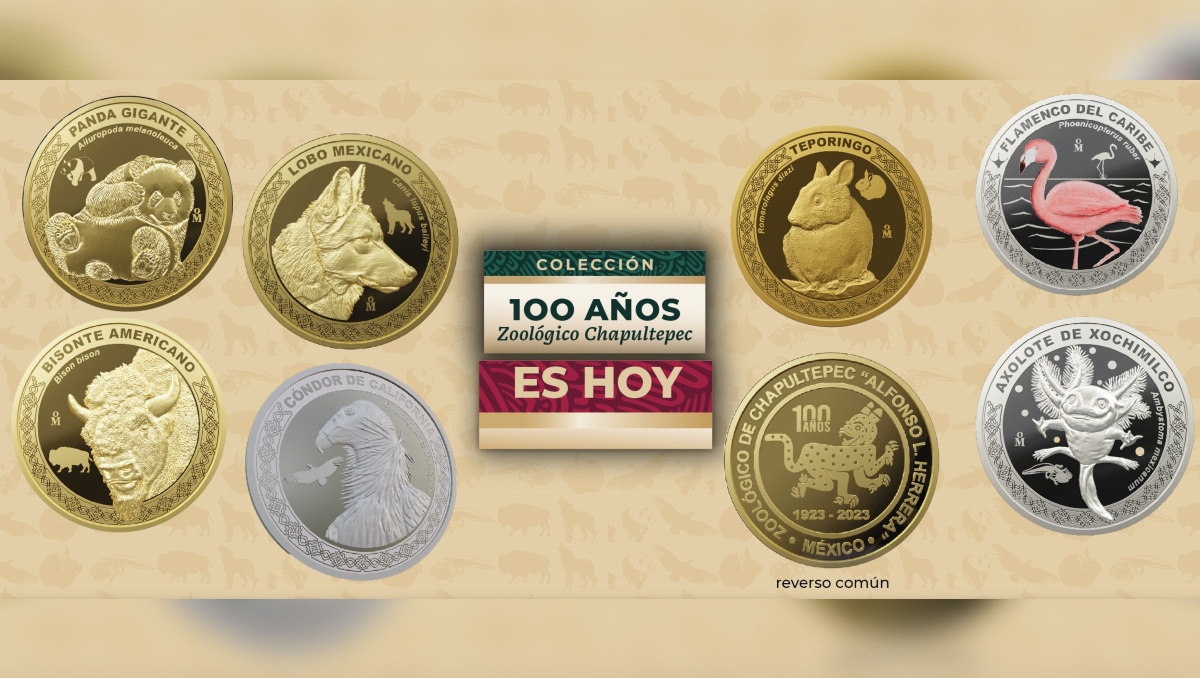 La colección consta de siete monedas para conmemorar la fundación del Zoológico de Chapultepec. | Casa de Moneda de México